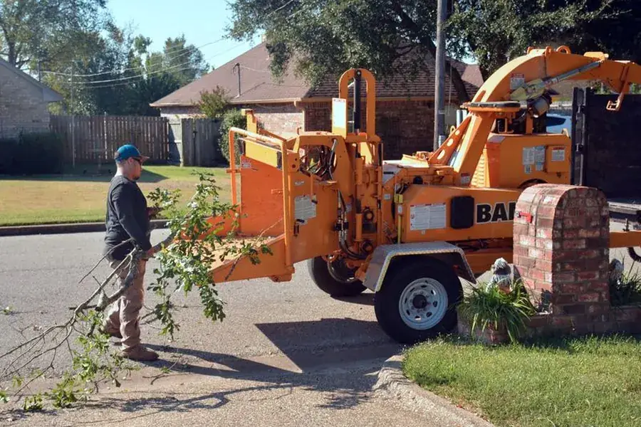 Crew chipping brush and clearing the work area after a tree removal