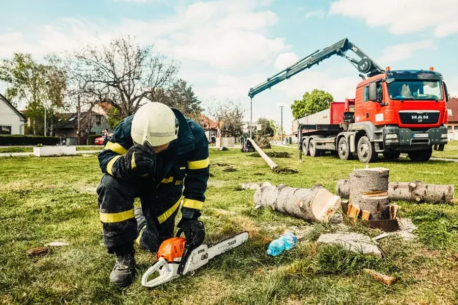 Crew cutting up a storm-felled tree beside a truck-mounted crane