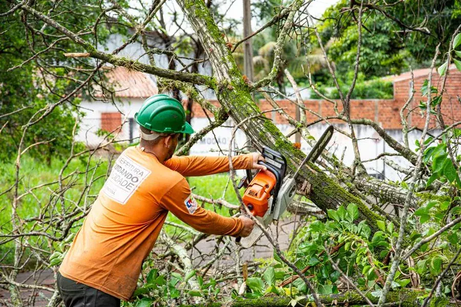 Tree crew working on a residential removal