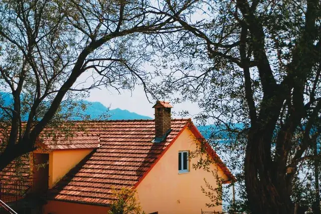 A comparable tree in a tight space beside a house, with a fence and deck below it
